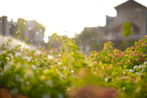 Screenshot 2025-12-13 160521.png